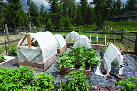 Them That’s Doin’: Labor of Love Image